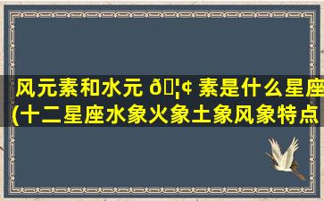 风元素和水元 🦢 素是什么星座(十二星座水象火象土象风象特点)